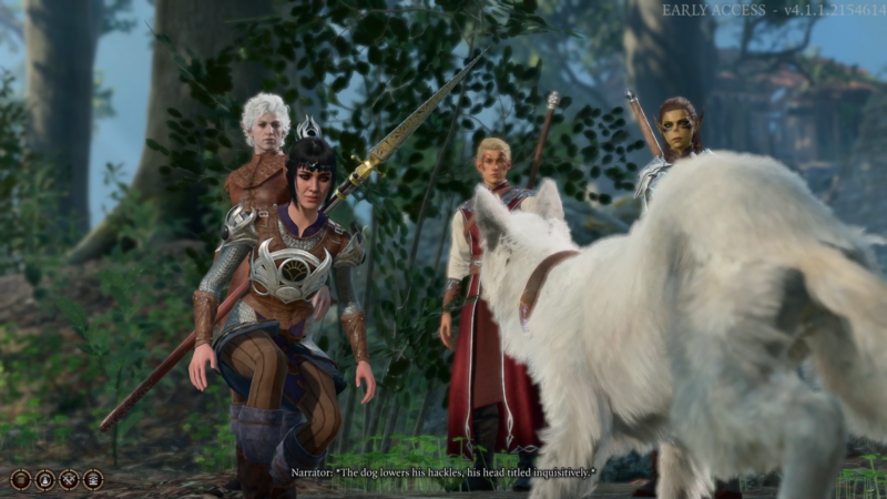Comment obtenir un chien de compagnie dans Baldur's Gate 3