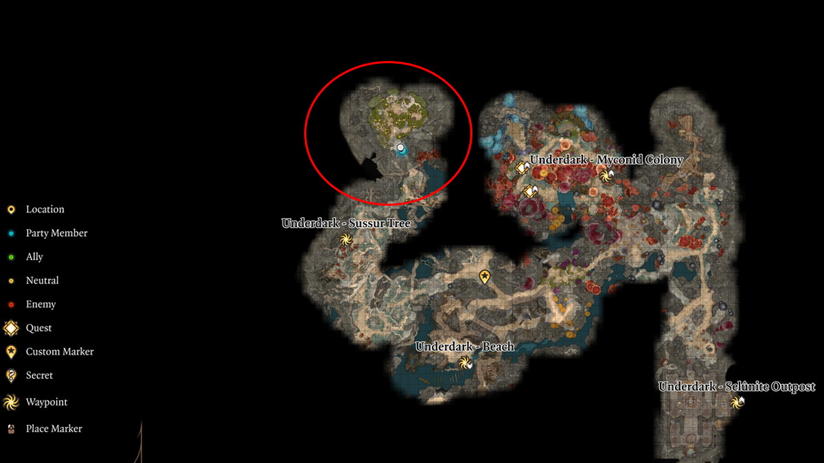 Baldurs Gate 3 Noblestalk Carte