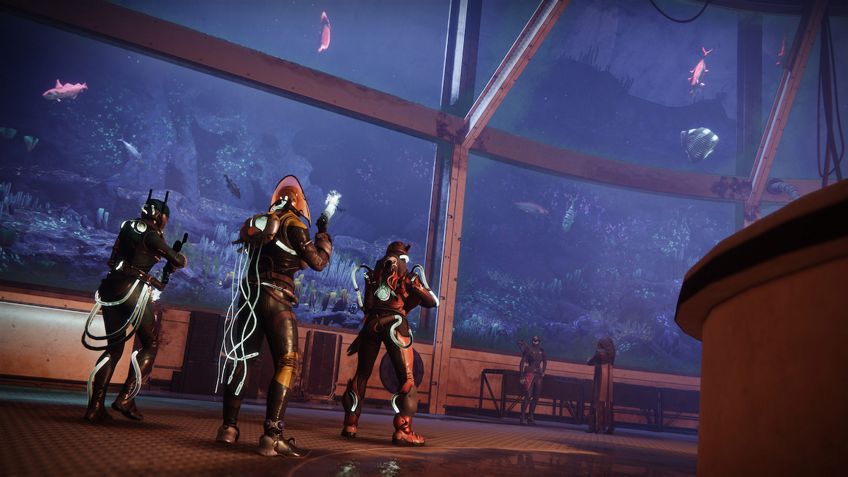 Destiny 2 joueurs regardant dans l'eau