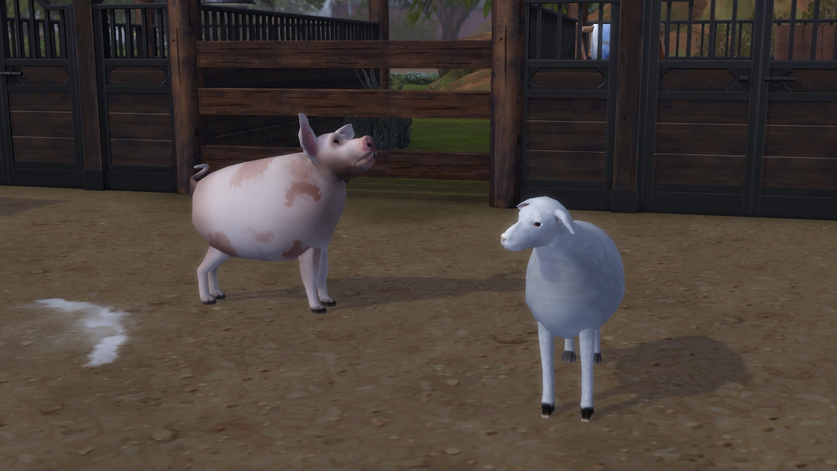 Animaux de la ferme Ts4