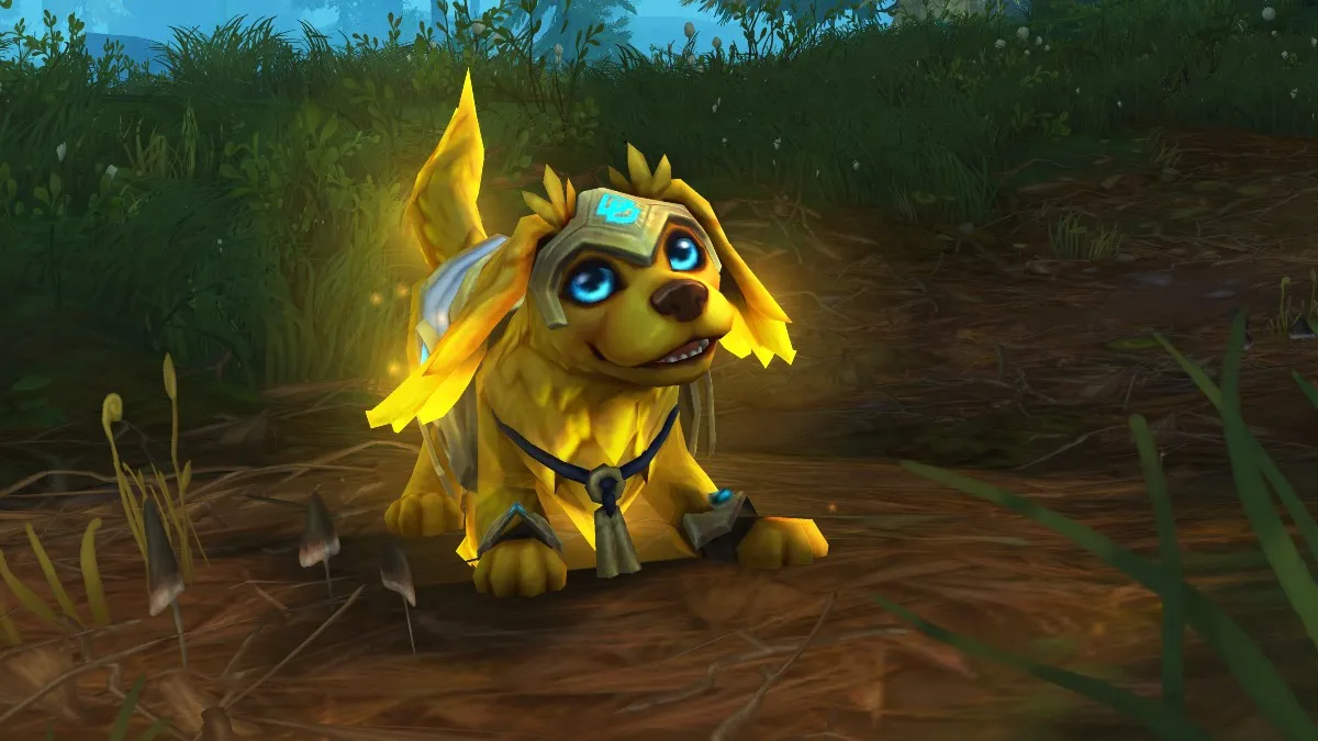 Les animaux de World of Warcraft collectent 1,5 million de dollars pour BlueCheck Ukraine