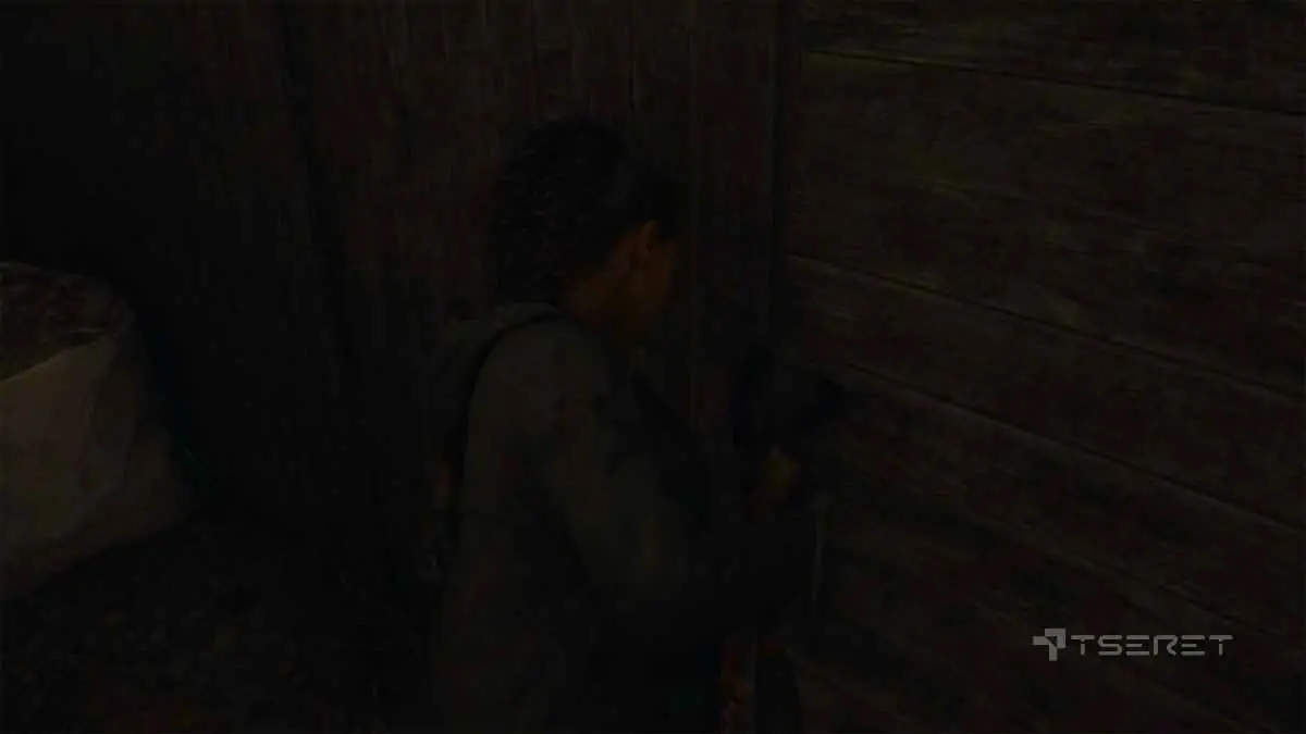 Alan Wake 2 : Coupe-boulons - Comment et où les obtenir ?