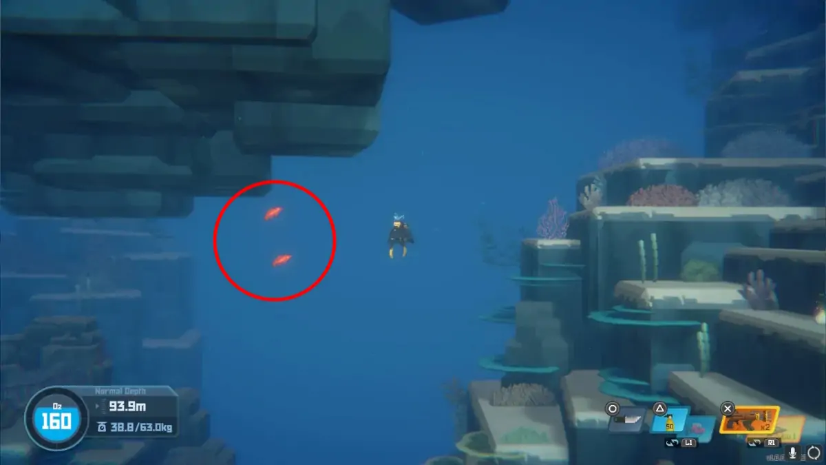 Où trouver la truite corail dans Dave le plongeur