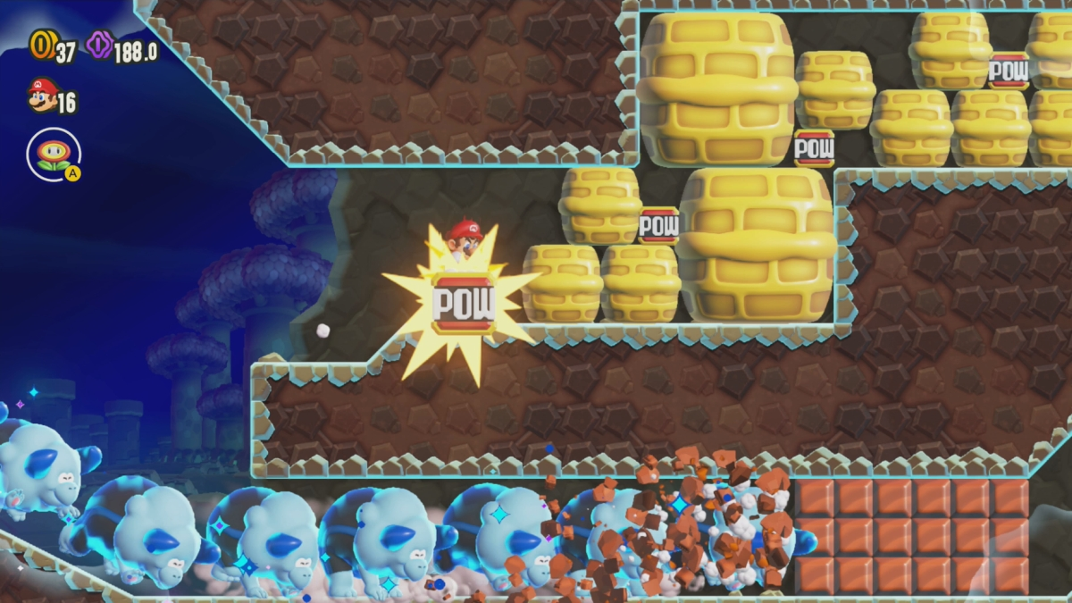 Blocs Smb Wonder Bulrush Express Pow
