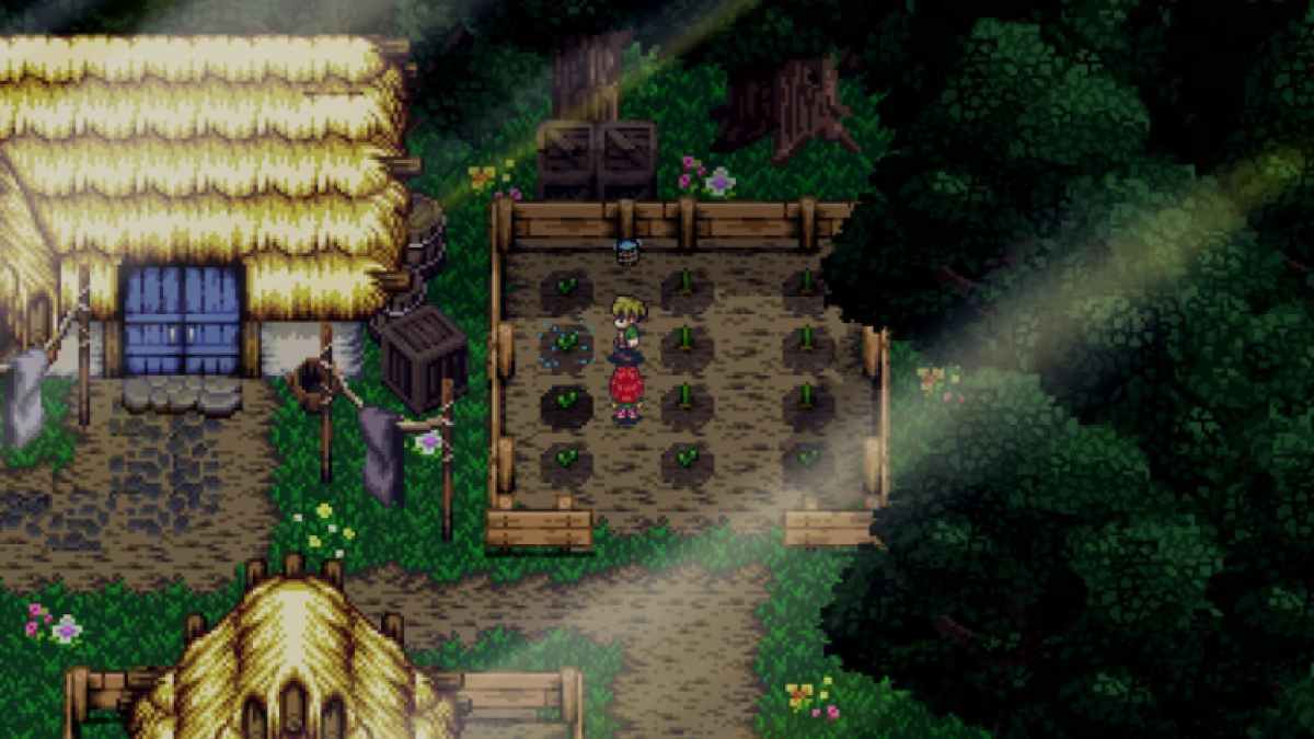Arrosage à Harvest Island