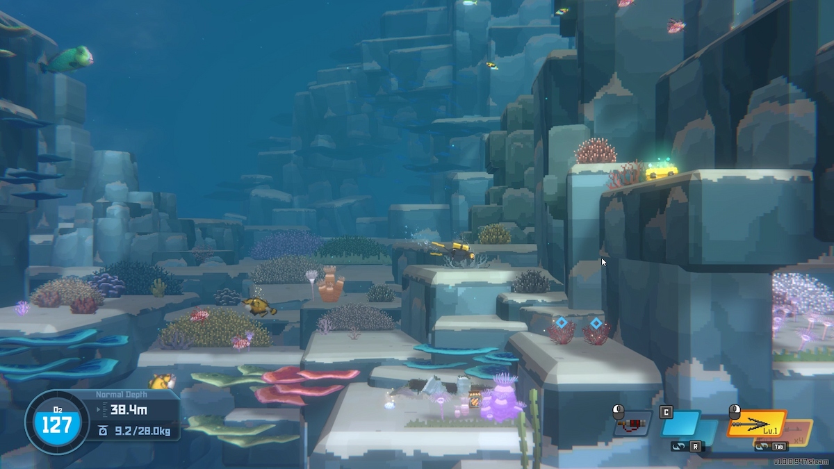 Où trouver de la gélose à l’emplacement de Dave The Diver