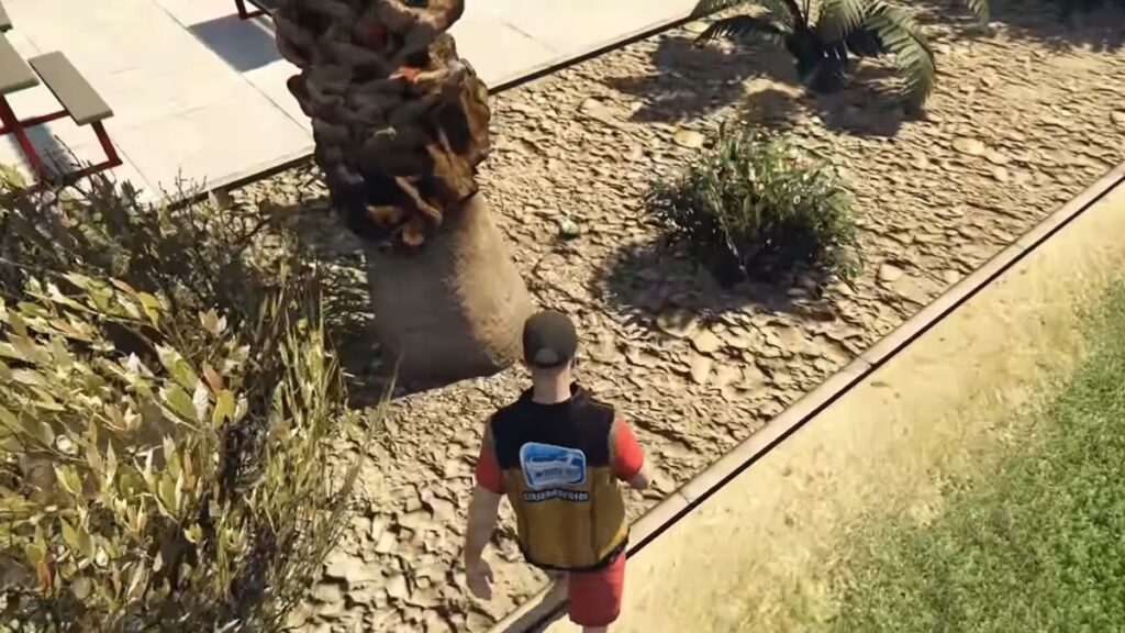 Plantes de peyotl dans GTA Online