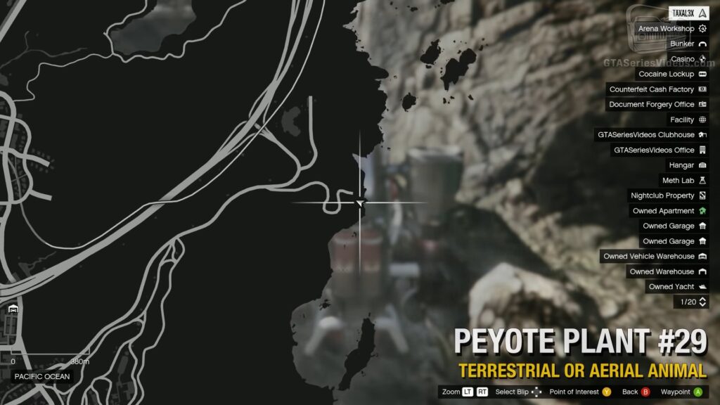plantes de peyotl gta en ligne