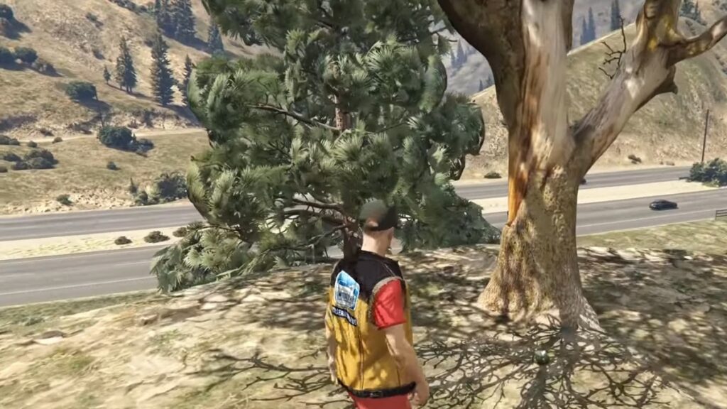 plantes de peyotl gta en ligne