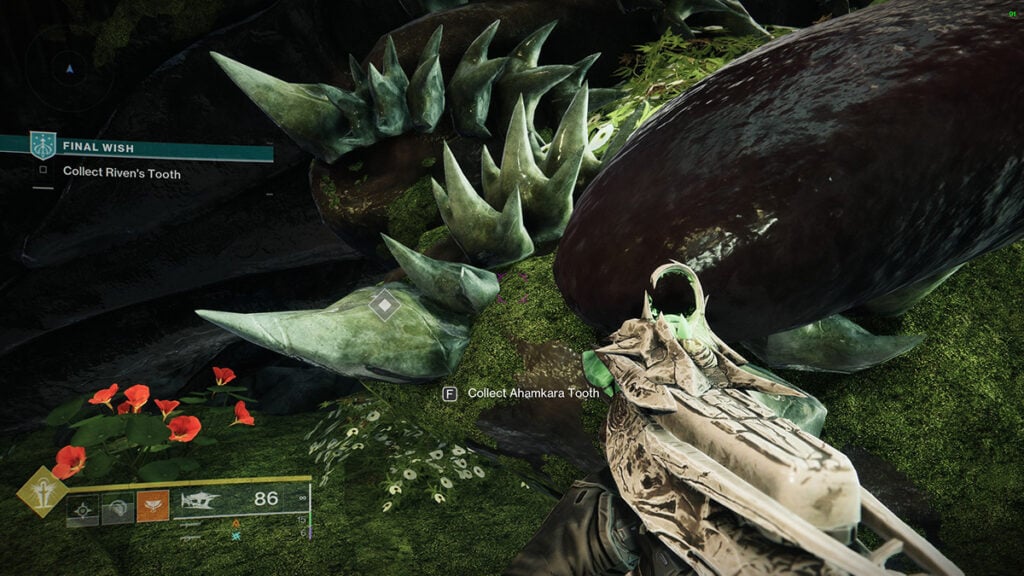 Dent d'Ahamkara