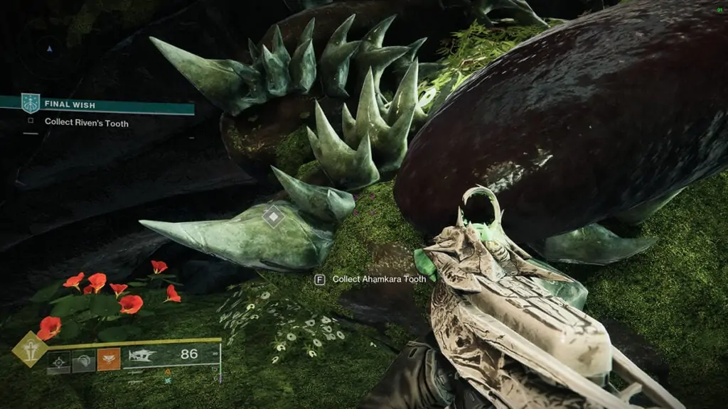 Dent d'Ahamkara