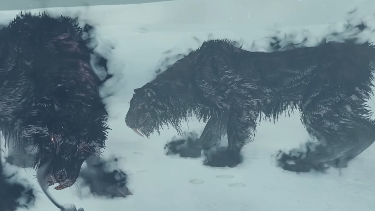 Lud et Zallen dans Dark Souls 2