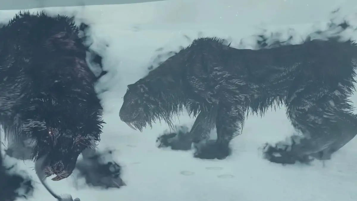 Lud et Zallen dans Dark Souls 2
