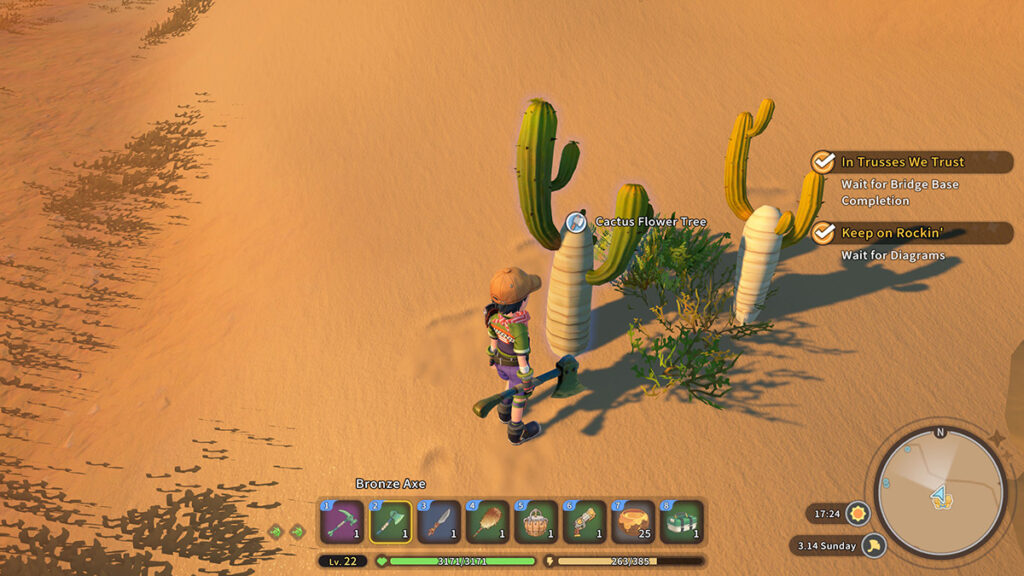 Trouver un arbre à fleurs de cactus dans le désert.