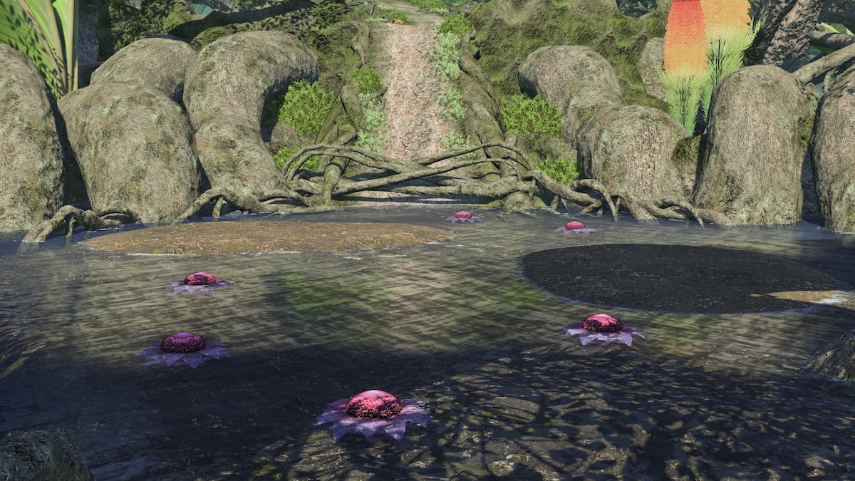 Aloalo Island Pollen Area