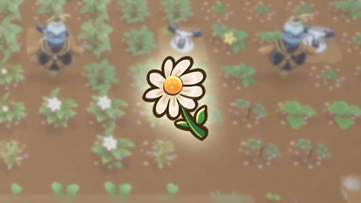 Coral Island : Comment obtenir (et utiliser) Daisy