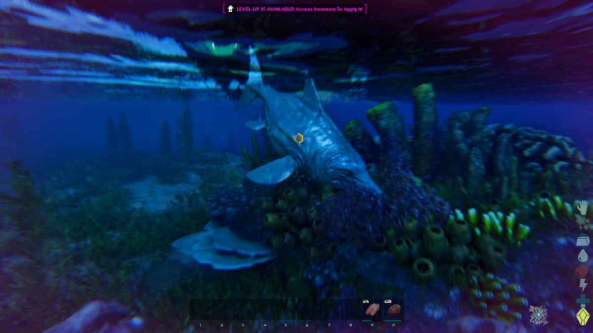 Apprivoiser l'ichtyosaure dans Ark Survival Ascended