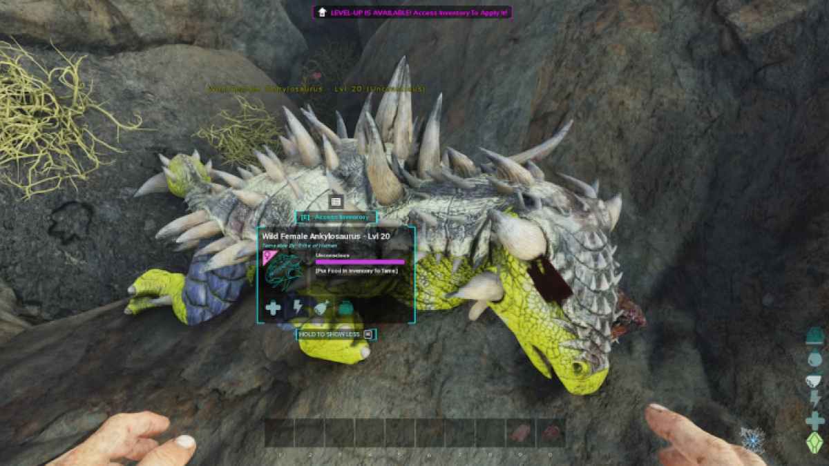 Ankylosaure inconscient dans Ark Survival Ascended