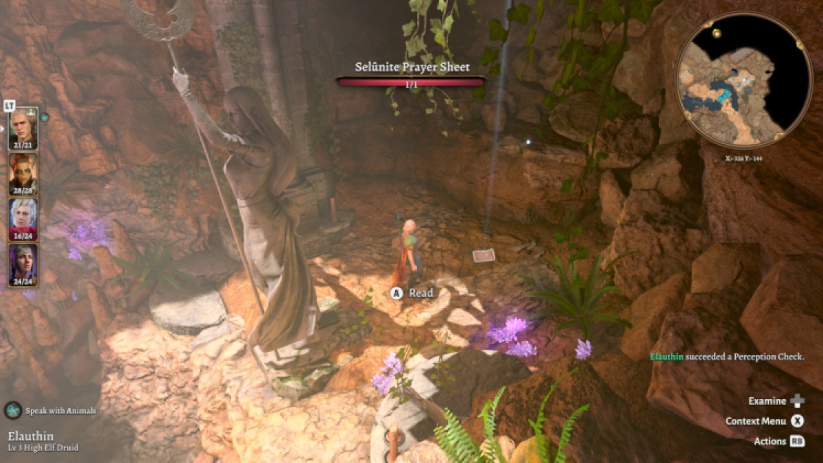 Baldur's Gate 3 Owlbear Cave Coffre doré de Selune 2