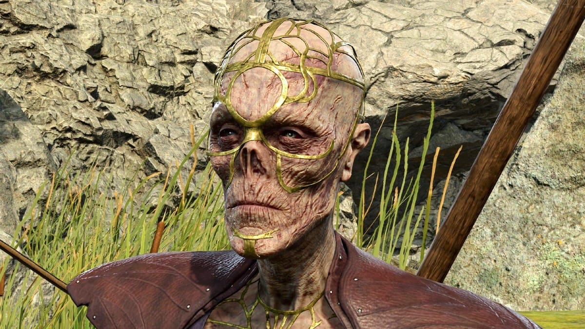Baldur's Gate 3 : Meilleurs paramètres du mode personnalisé
