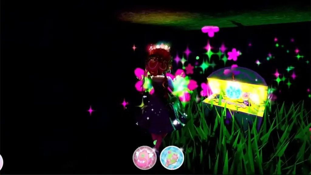 Coffre Royale High Rainy Woods 1