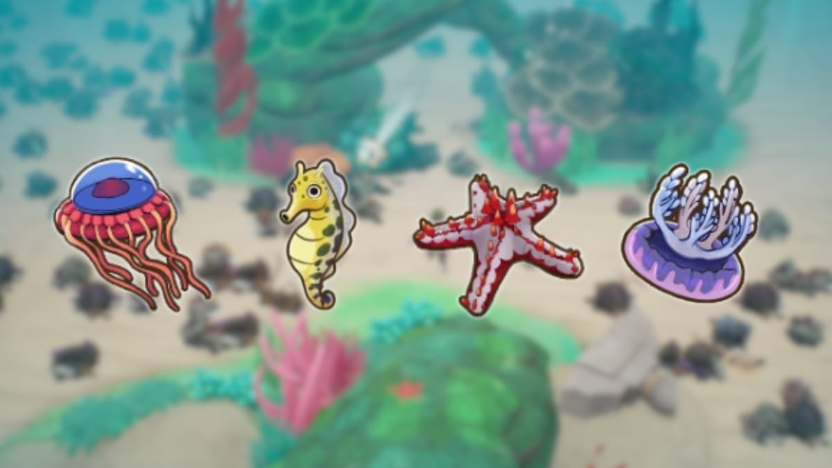 Coral Island  : Tous les animaux marins