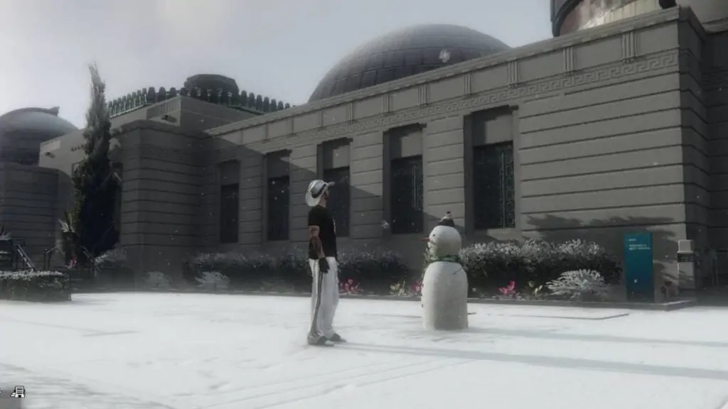 Bonhomme de neige 12