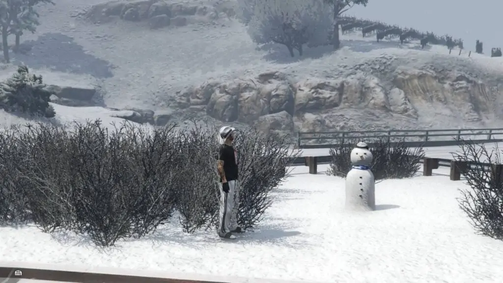 Bonhomme de neige 15