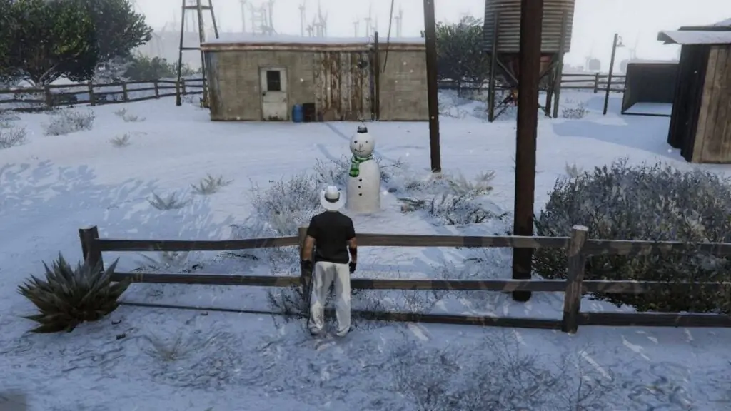 Bonhomme de neige 17