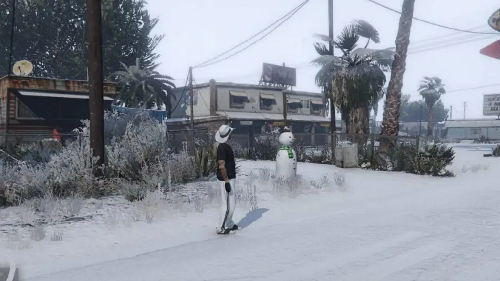 Bonhomme de neige 20