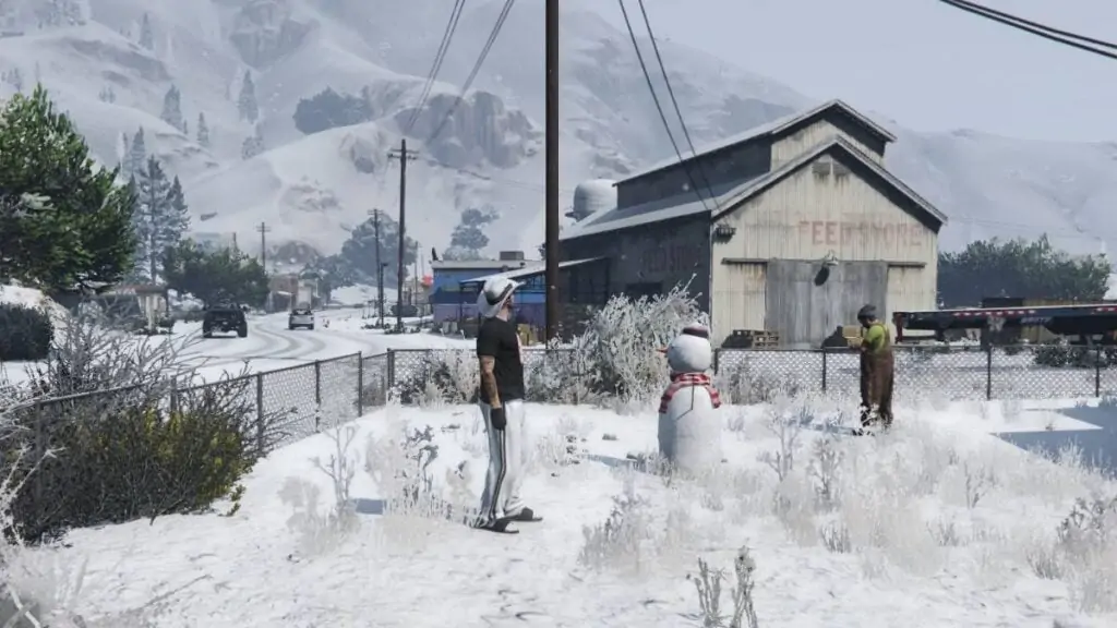 Bonhomme de neige 21
