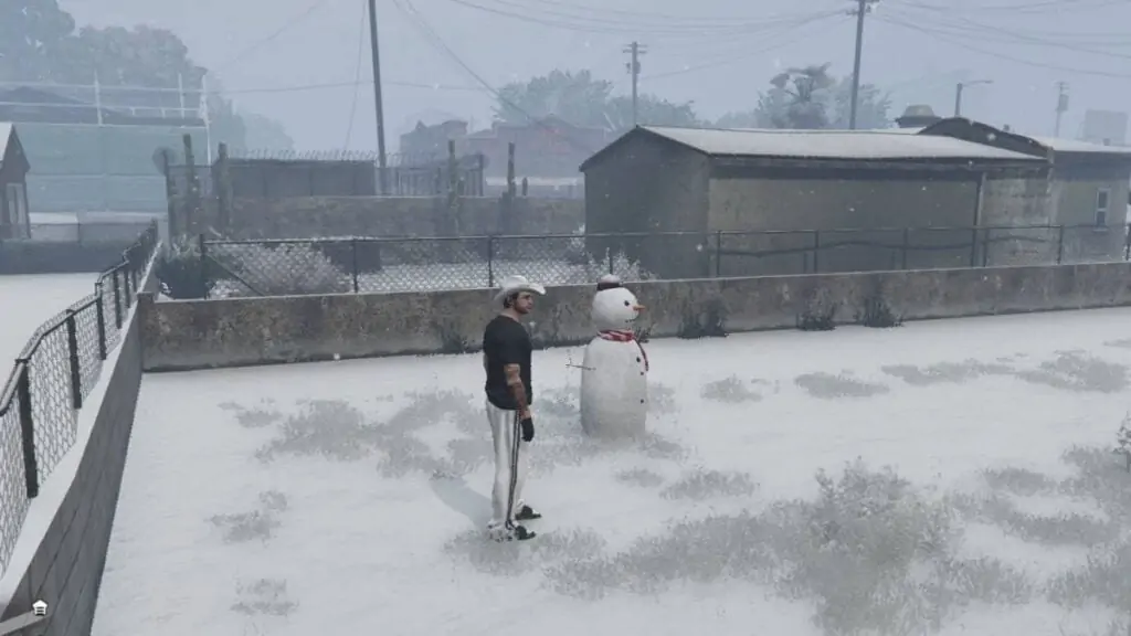 Bonhomme de neige 24