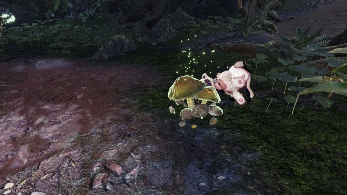Monster Hunter World : Comment obtenir la compétence Mushroomancer