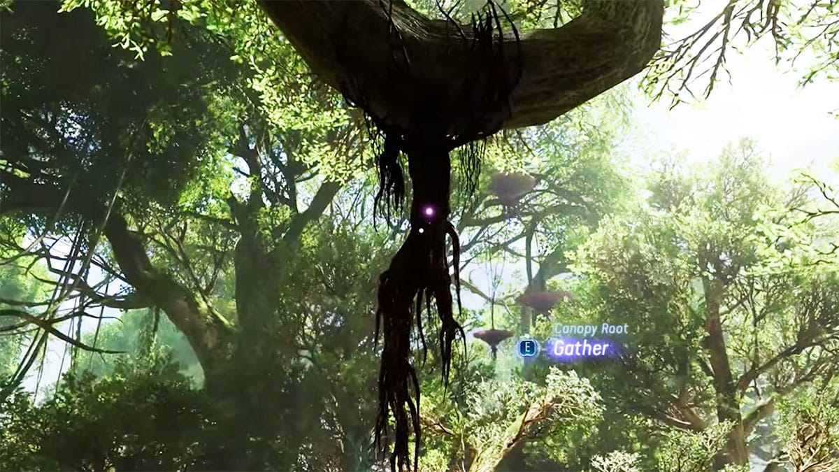 Avatar : Frontiers of Pandora - Où trouver la racine de la canopée