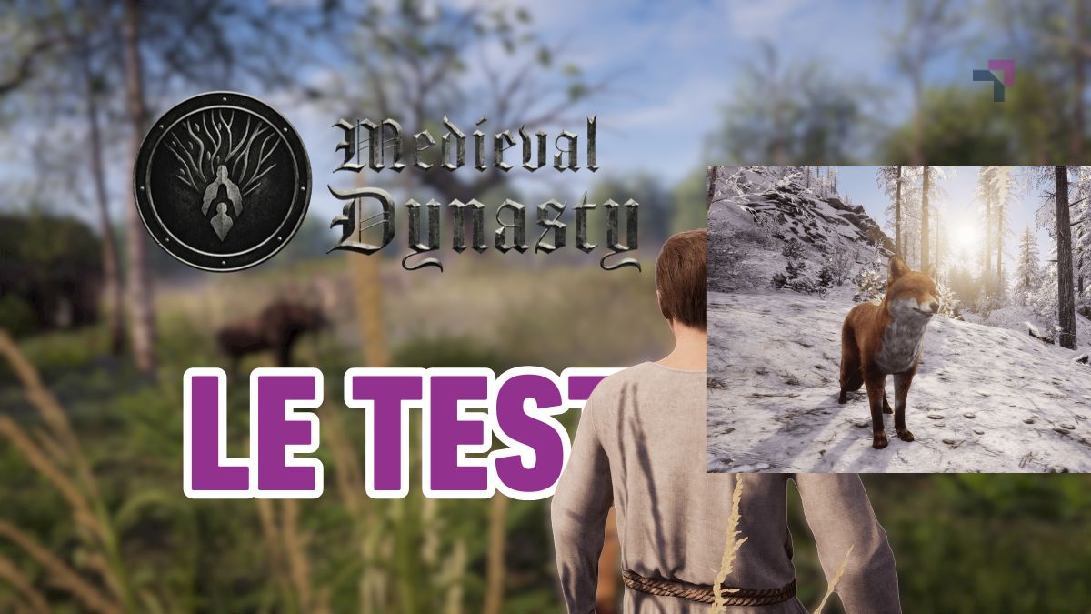 Test de Medieval Dynasty