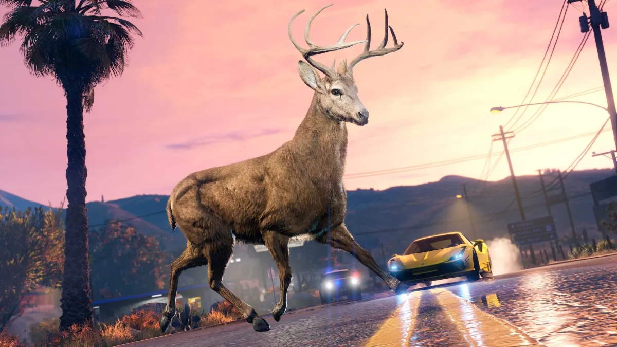 GTA Online : Les 15 emplacements d'animaux de pour le défi de la photographie animalière
