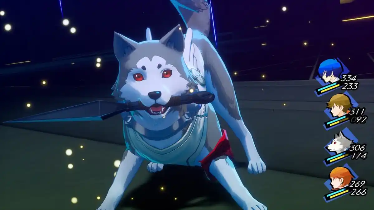 Persona 3 Reload : Comment changer la tenue de Koromaru