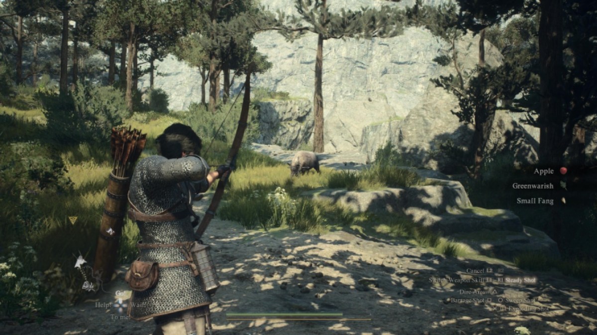 Dragon's Dogma 2 Archer Sanglier