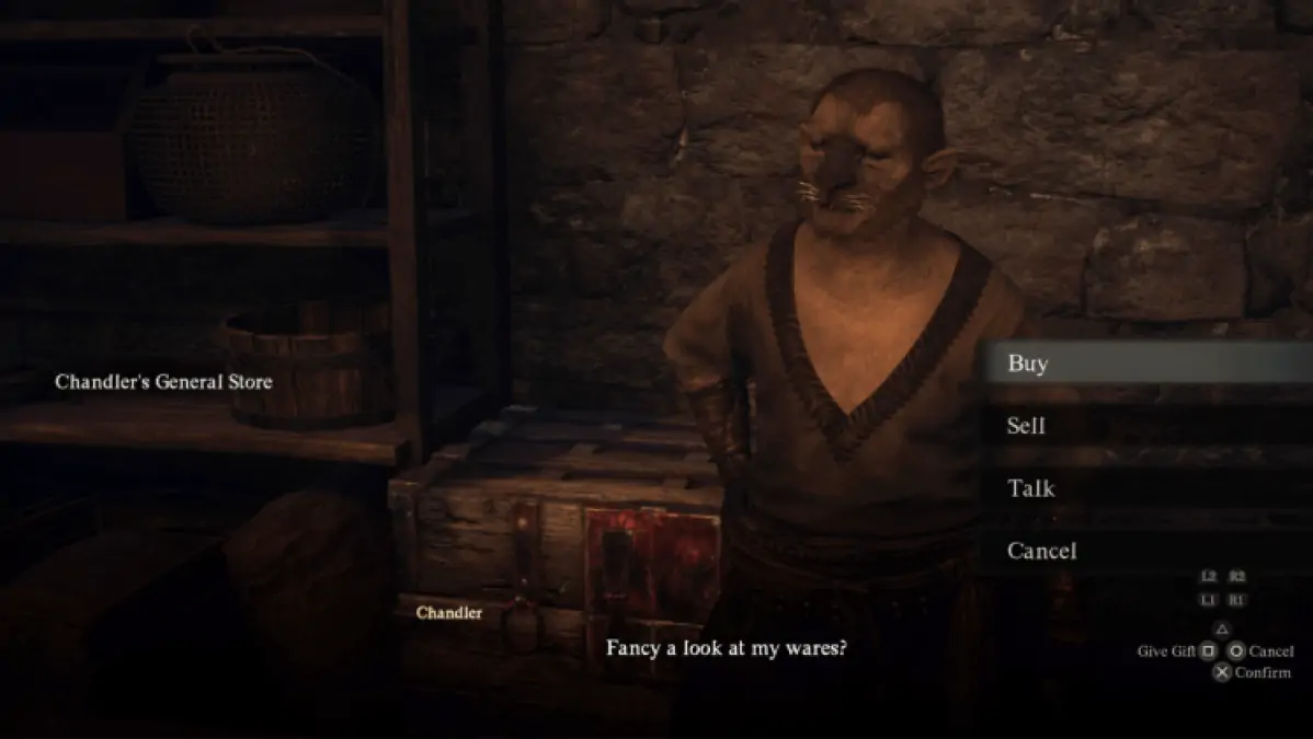 Dragon's Dogma 2 Chandler General Store Vendeur de flèches