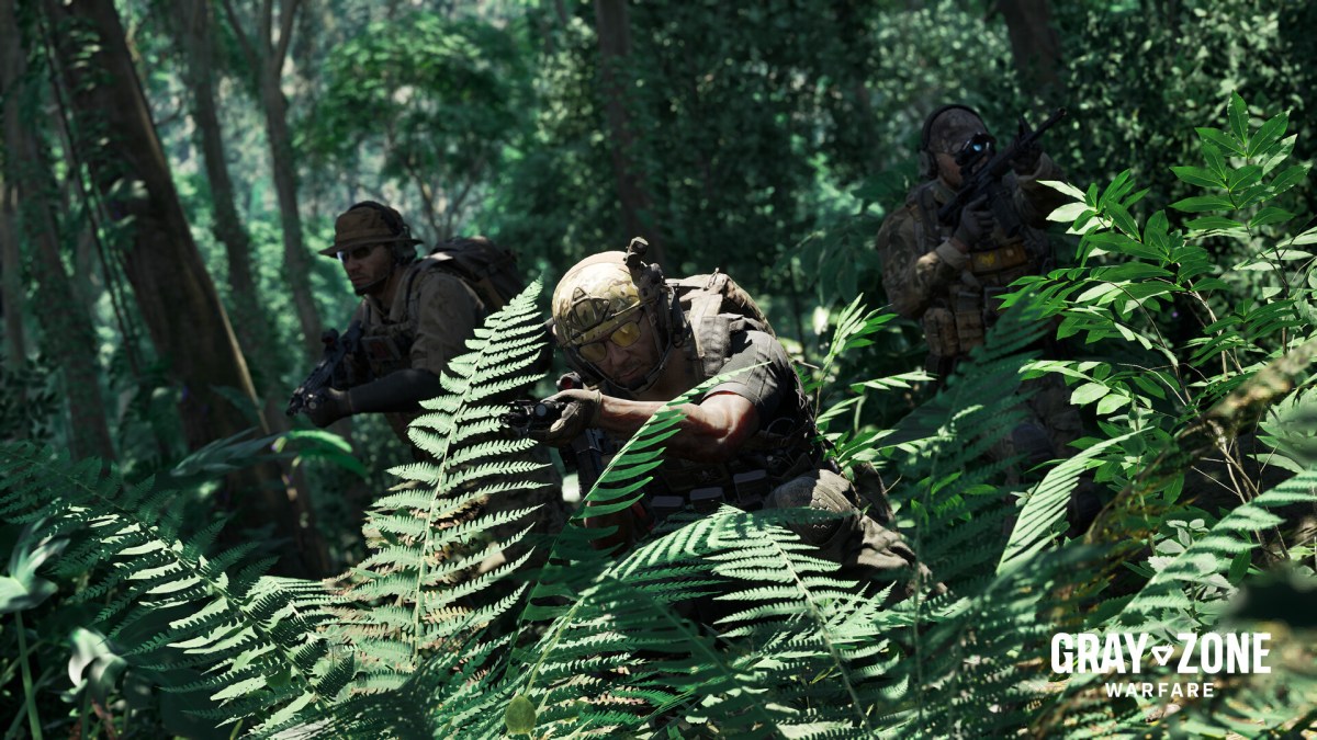 Soldat de guerre de zone grise dans la brousse