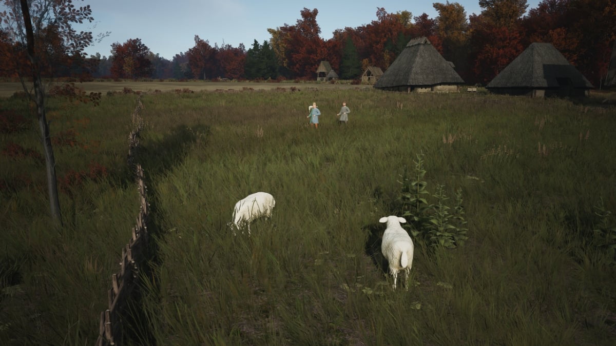 Manor Lords : Élévage de moutons - Obtenir des moutons