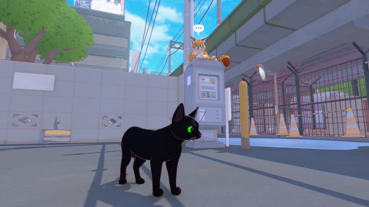 Comment rencontrer les 15 animaux de Little Kitty Big City
