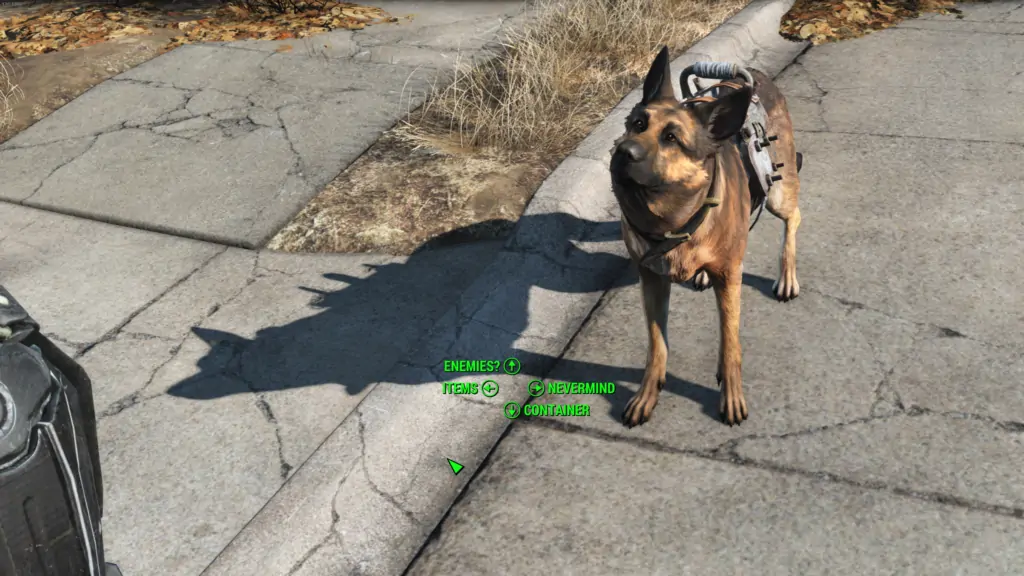 Invite de dialogue de Dogmeat affichant les options de récupération