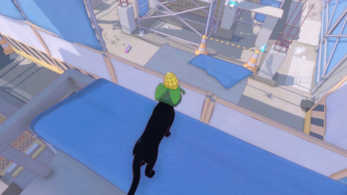 Emplacement du casque de sécurité Little Kitty Big City