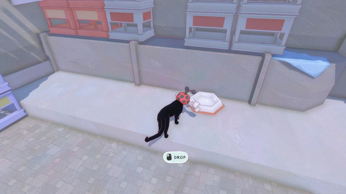 Comment dépasser les chiens dans Little Kitty Big City Bone Bowl