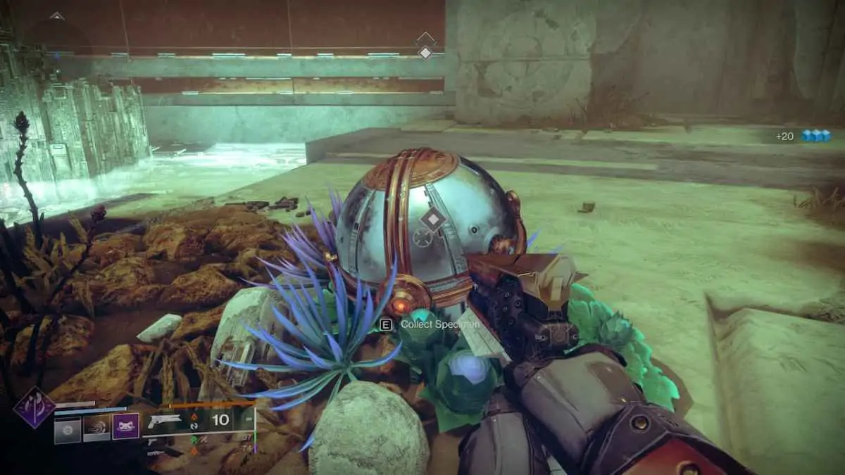 Spécimen inhabituel de Destiny 2