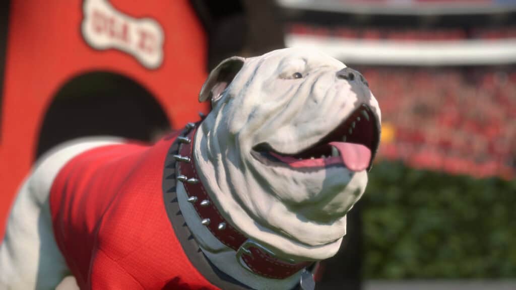 Mascotte de football