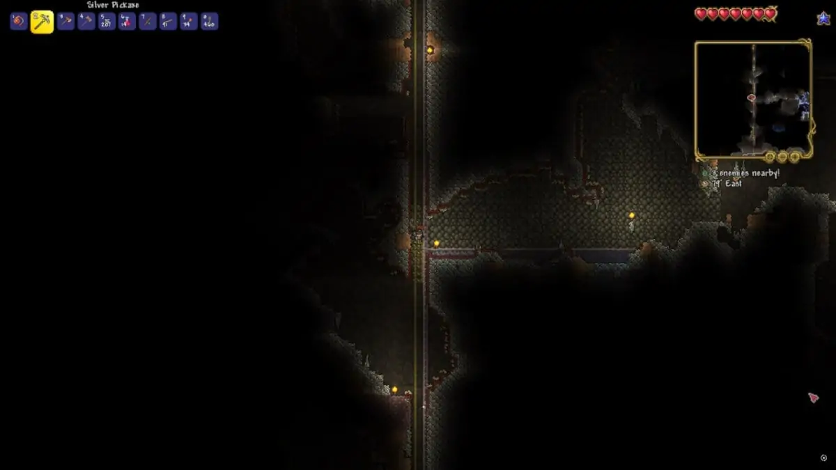 Image de terrarium