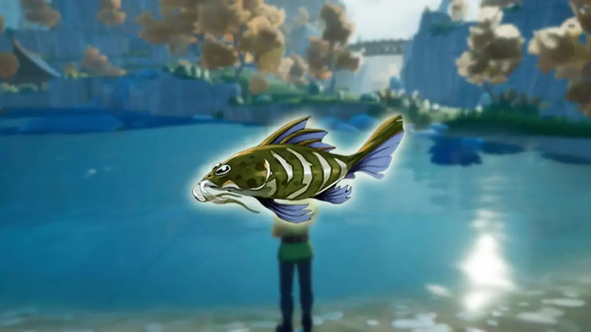 Palia: Comment trouver et attraper le Poisson-chat traqueur